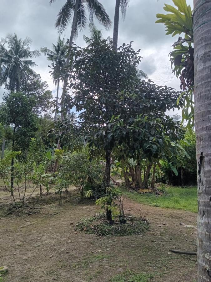 Chom Suan Farmstay Ko Kut Exterior photo