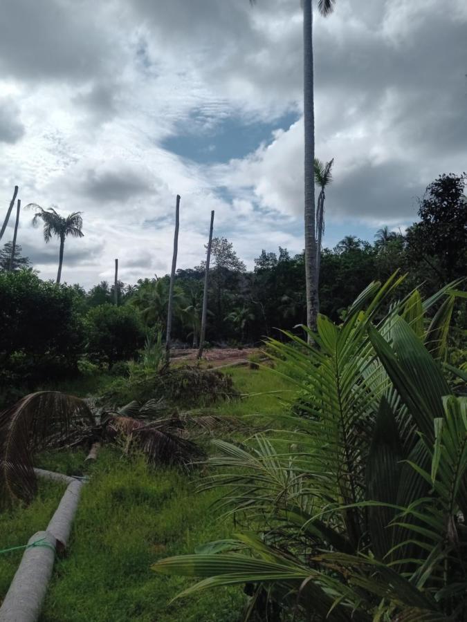 Chom Suan Farmstay Ko Kut Exterior photo